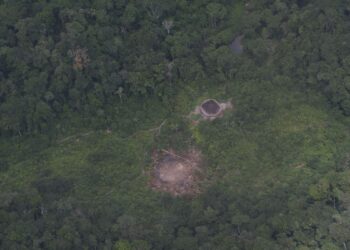 Massacre de Haximu completa 30 anos em agosto