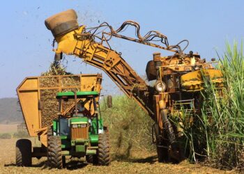 Baixa demanda reduz o preço do açúcar