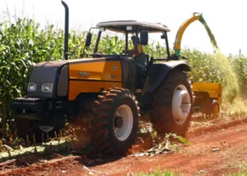 Comercialização do milho está lenta