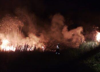 Incêndios causados pela seca podem agravar cenário de interrupções de energia elétrica