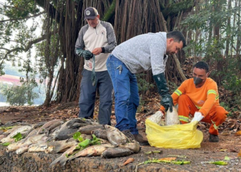Pescadores do Rio Piracicaba recebem apoio após nova mortandade de peixes