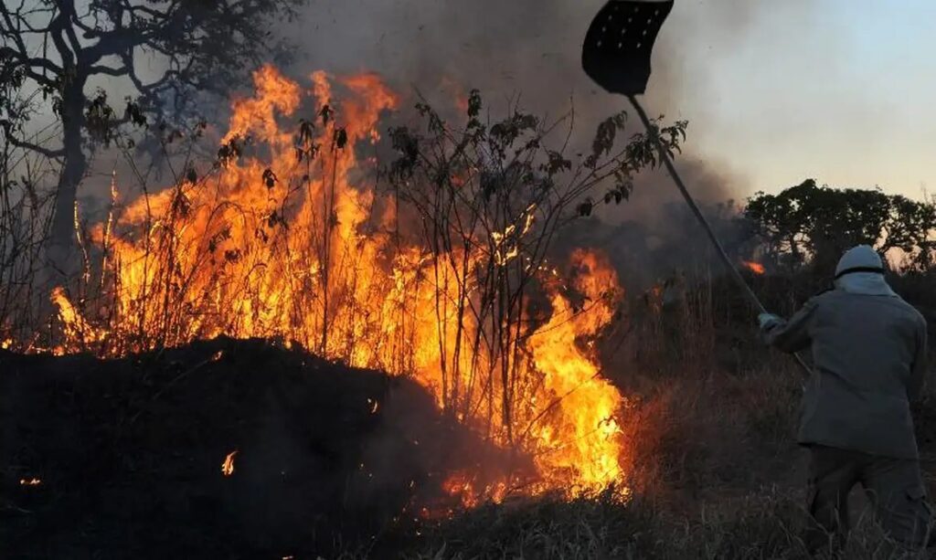 Brasil tem aumento de 107% nos focos de incêndios florestais