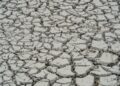 Seca extrema: ação humana é uma das causas principais do fenômeno climático