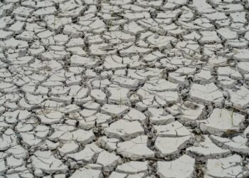 Seca extrema: ação humana é uma das causas principais do fenômeno climático