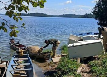 Seguro-Defeso: pescadores devem observar prazo para solicitar benefício Seguro-Defeso: pescadores devem observar prazo para solicitar benefício