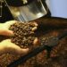 Saca do café arábica é comercializada a R$ 1.522,49, após alta de 0,47%