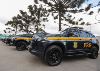Estradas no feriado: PRF realiza Operação Proclamação da República 2024