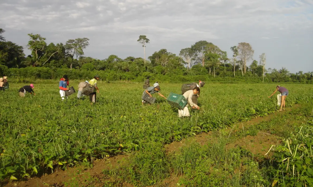 Segurança no campo: delegacias especializadas em conflitos agrários aprovadas em Comissão