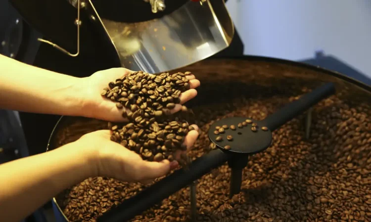 Café arábica segue em alta e saca custa R$ 2.398,06