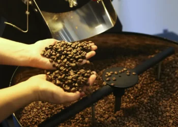 Café robusta segue em alta e saca custa R$ 1.963,81 Café robusta segue em alta e saca custa R$ 1.963,81