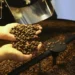 Café robusta volta a ter alta e saca custa R$ 1.875,46