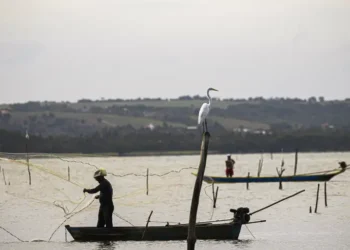 Período de defeso na Bacia Hidrográfica do Rio Paraguai termina em 28 de fevereiro