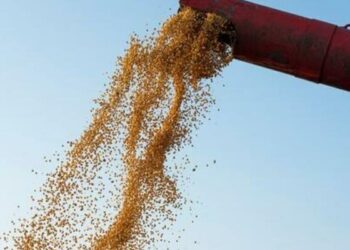 Soja recua 0,73% no Paraná