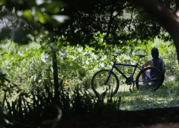 Outono: como será o tempo nas 5 regiões brasileiras