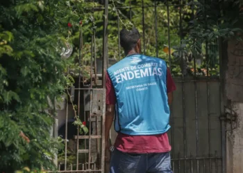 Arboviroses: previsões do MS apontam incidência elevada de casos em 6 UFs para 2025