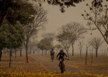 Brasil já registrou 172 mil focos de incêndio em 2024; veja como minimizar impactos na saúde