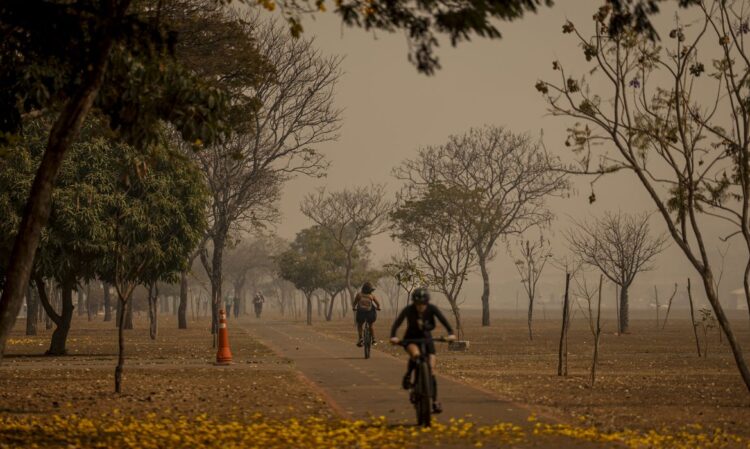 Brasil já registrou 172 mil focos de incêndio em 2024; veja como minimizar impactos na saúde