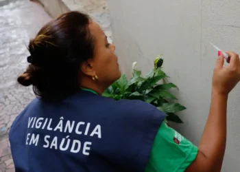 Dengue: associação revela aumento dos casos e alerta sobre prevenção no Carnaval