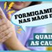 Formigamento nas mãos e pés: causas e o que fazer