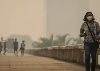 QUEIMADAS: MS divulga orientações a gestores públicos para minimizar efeitos da fumaça na saúde