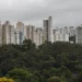 São Paulo lidera ranking de cidades brasileiras com maior intensidade de ligações empresariais