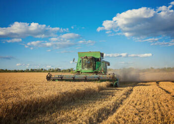 Agronegócio: safra de grãos 24/25 projeta recorde de 332,9 milhões de toneladas