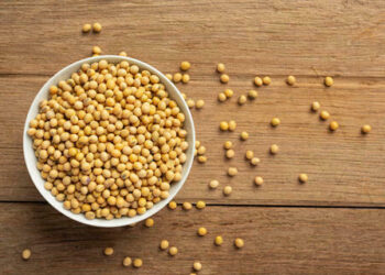 Após alta no preço, saca da soja é ser negociada a R$ 127 no interior do Paraná, nesta quarta-feira (21)