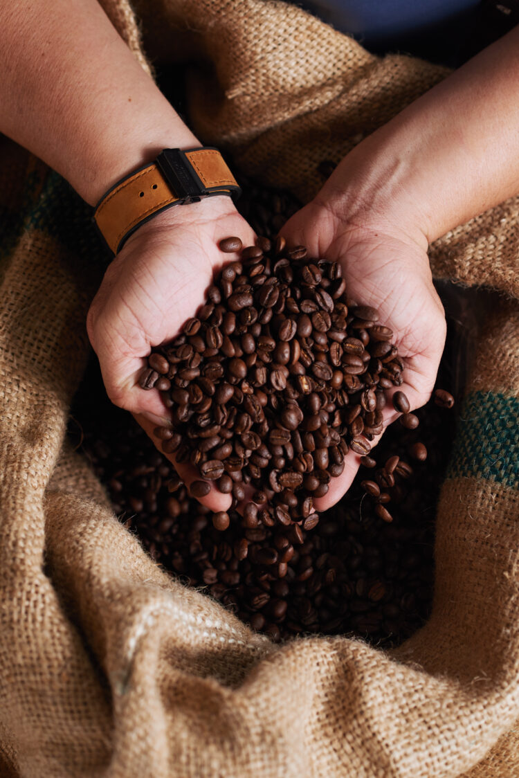 Cotações do café, açúcar e milho para esta quarta-feira (18)