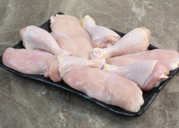 Gripe aviária: Brasil se autodeclara livre da doença