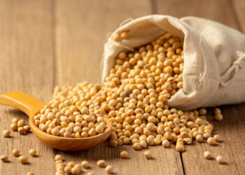 Preços da soja e trigo nesta quarta-feira (18)