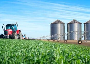 FPA: cautela e diplomacia firme diante da tarifa de 50% imposta pelos EUA