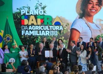 Plano Safra 25/26 vai disponibilizar R$ 89 bilhões para agricultura familiar