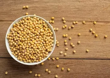 Soja e trigo em queda no Paraná