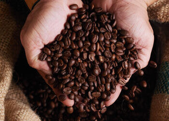 Café arábica tem alta no preço nesta sexta-feira (1º)