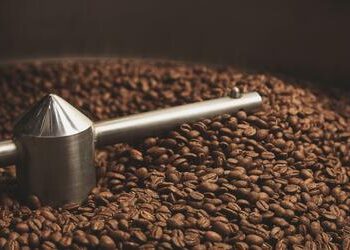 Café registra alta no preço da arroba nesta sexta-feira (8)
