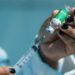 InfoGripe: casos de SRAG por Covid-19 e rinovírus aumentam no Brasil
