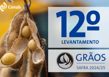 Safra 2024/25 atinge recorde histórico de 350,2 milhões de toneladas de grãos