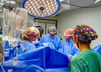 Macrorregionalização: Ministério da Saúde redefine distribuição de órgãos para transplantes