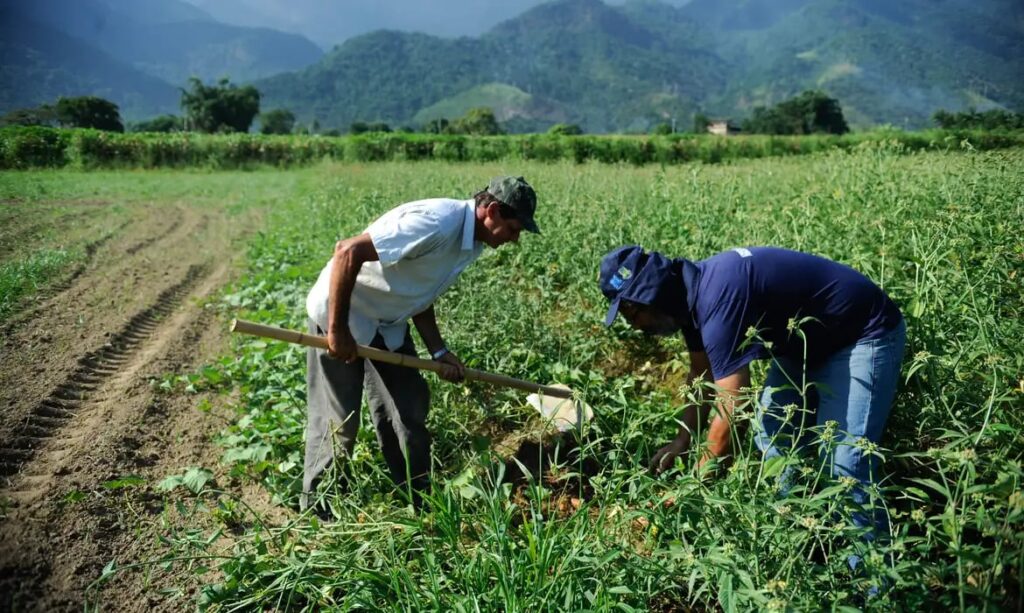 Agro fecha setembro com saldo positivo de 25 mil empregos, puxado pelo açúcar e pela cana Agro fecha setembro com saldo positivo de 25 mil empregos, puxado pelo açúcar e pela cana