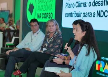 COP30: técnicas regenerativas podem elevar a produtividade sem degradar novas áreas na Amazônia