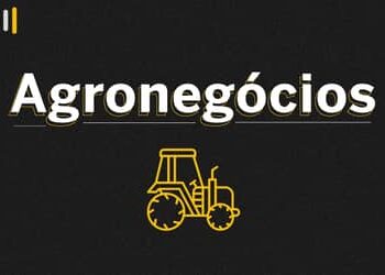 Novo escritório da ApexBrasil em Cuiabá (MT) fortalece comércio exterior do agronegócio