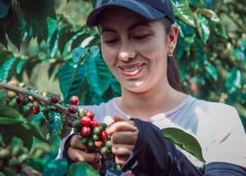 Vice-presidente Alckmin e ministro Carlos Fávaro alinham avanços tarifários com setores de castanhas, café e carnes