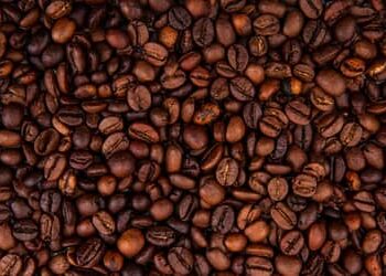 Café hoje: confira as cotações para quarta-feira (3)