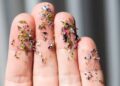 Microplásticos no corpo humano: evidências científicas reforçam necessidade de restrições ao uso de plástico
