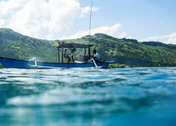 Seguro-defeso: pescadores precisam enviar REAP pelo PesqBrasil até esta quarta-feira (31) 