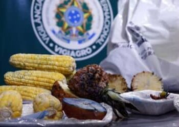 MAPA atualiza regra para entrada de produtos agropecuários no país