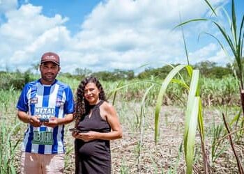 Programa Computadores para Inclusão cria 60 novos laboratórios de informática no Rio Grande do Sul em 2025