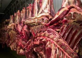 Restrição da China à carne bovina pode causar impacto de US$ 3 bilhões ao Brasil Restrição da China à carne bovina pode causar impacto de US$ 3 bilhões ao Brasil