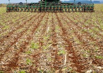 TCU deve investigar venda casada em financiamentos a produtores rurais TCU deve investigar venda casada em financiamentos a produtores rurais