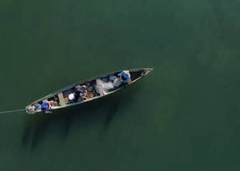 Mais de 76 mil pescadores tiveram licenças canceladas após decisão do MPA